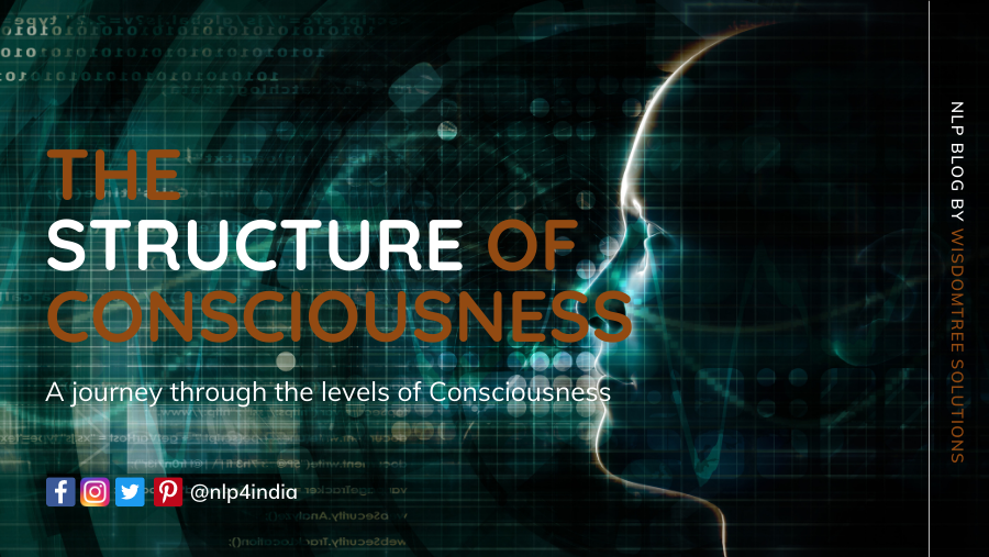 The Structure of Consciousness Banner